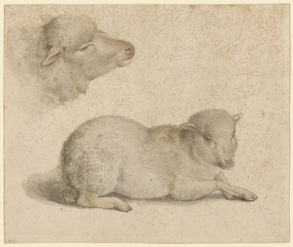 Hans Holbein The Younger - Ruhendes Lamm und Kopf eines Lammes
