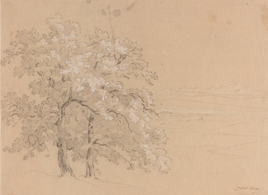 Jean-Antoine Linck - Sunlit Trees Before a Panoramic Landscape