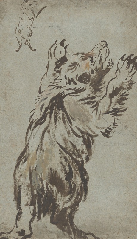 Leonaert Bramer - Studies of a Bear