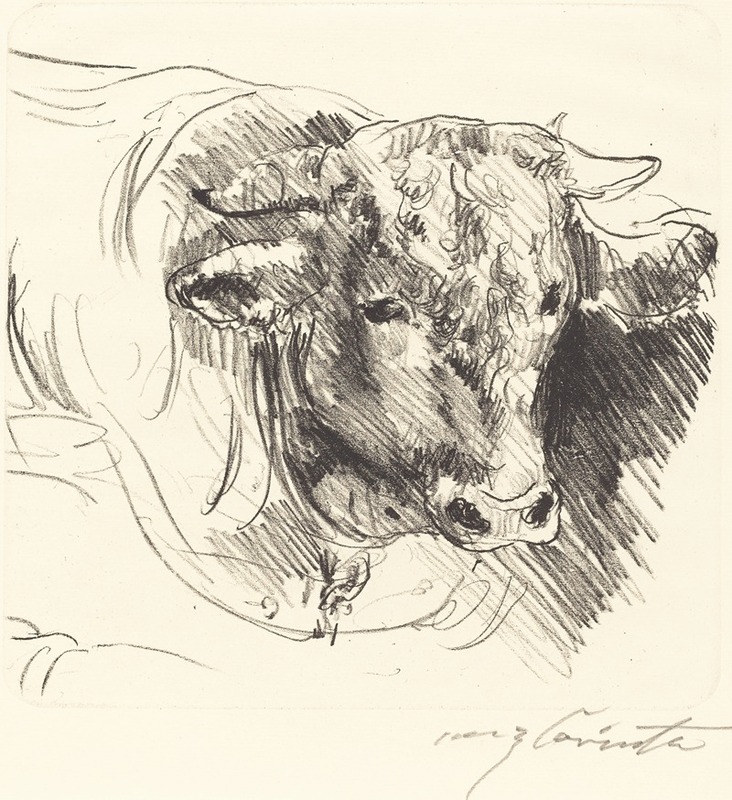 Lovis Corinth - Head of a Steer (Stierkopf)