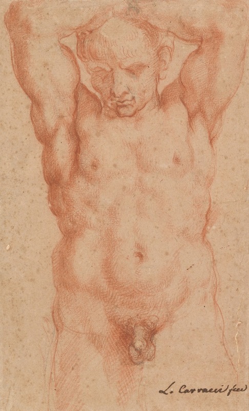 Agostino Carracci - Male Nude