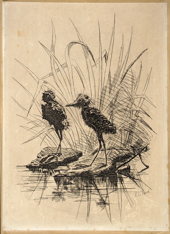 Frederick Stuart Church - Two Birds