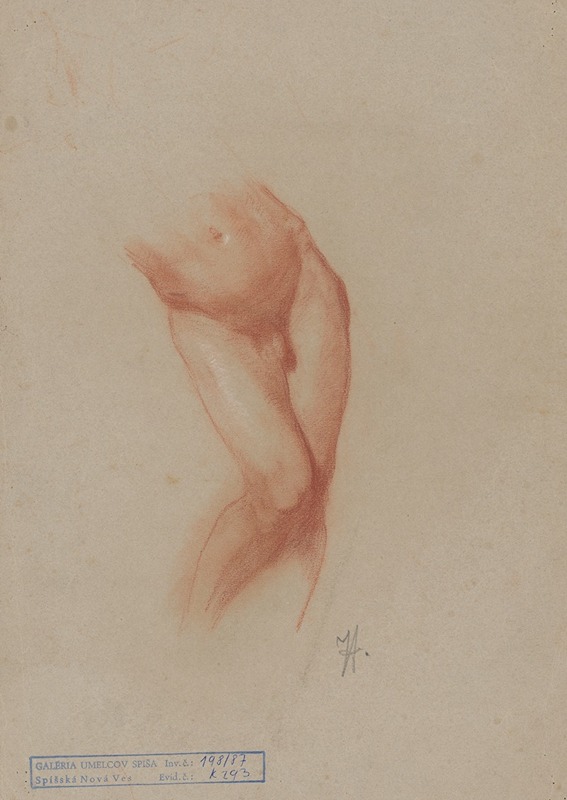 Jozef Hanula - Torso of a male nude