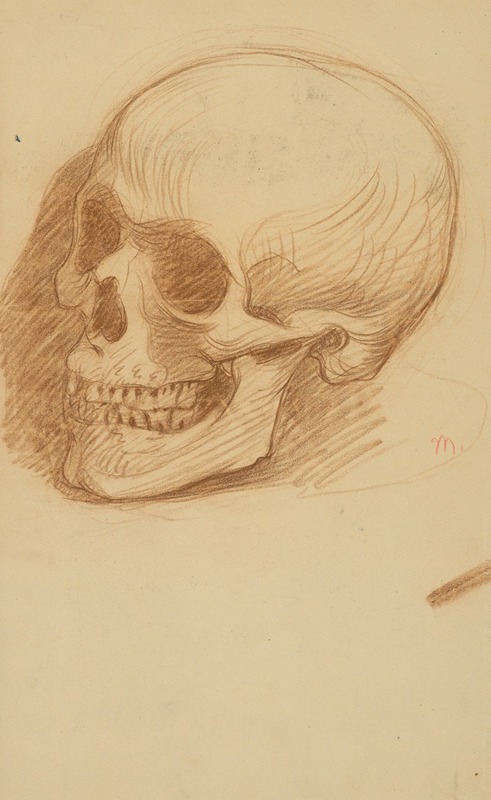 Milan Thomka Mitrovský - Skull Study