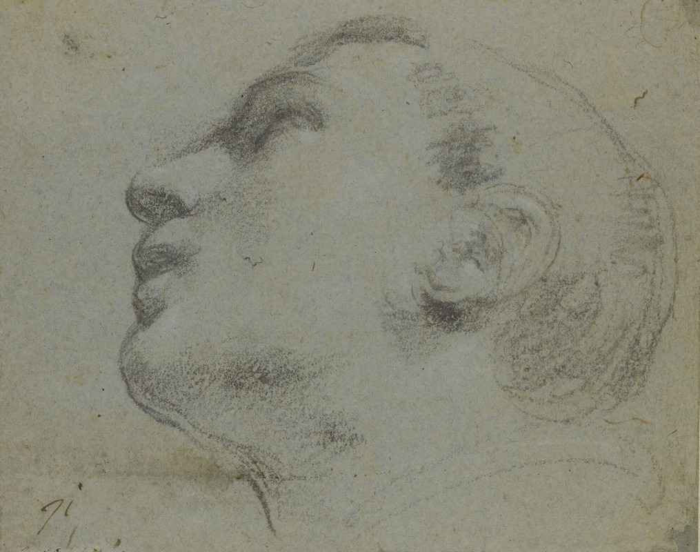 Guercino -  The head of a man turned to the left