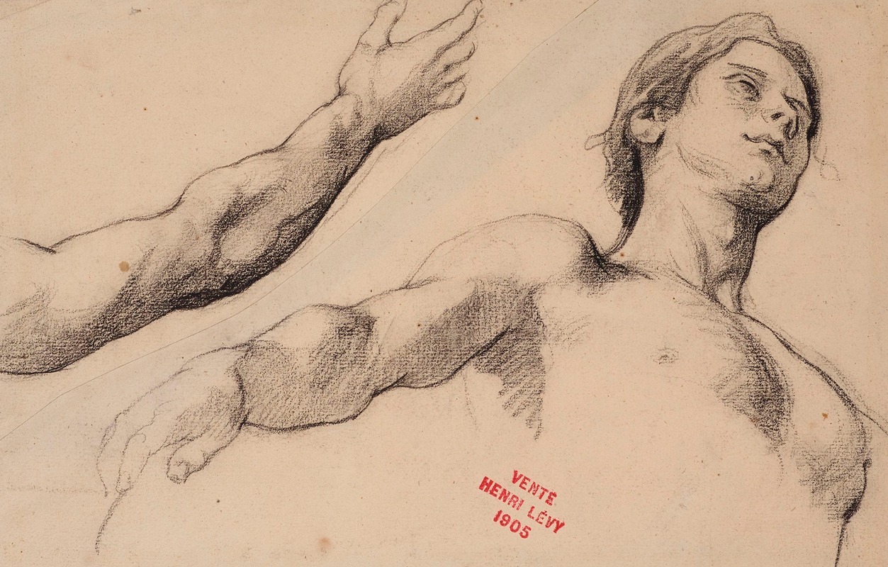 Henri Leopold Lévy - Etude de jeune homme en buste et étude d’un bras