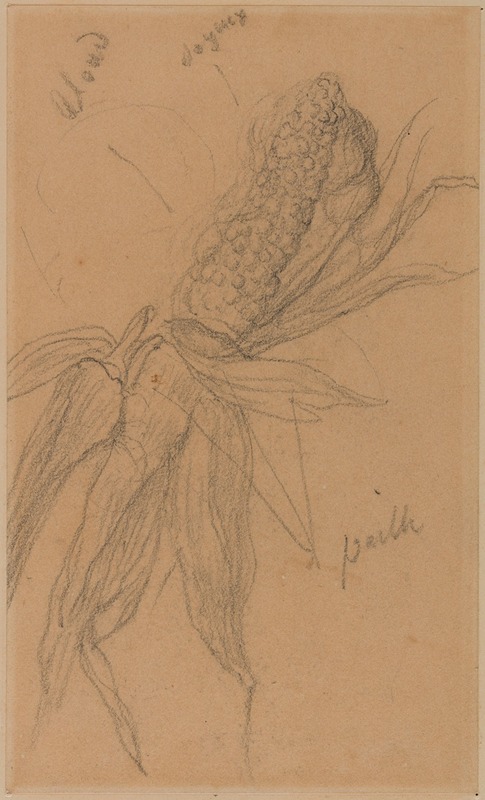 Pierre Puvis de Chavannes - Epi de maïs