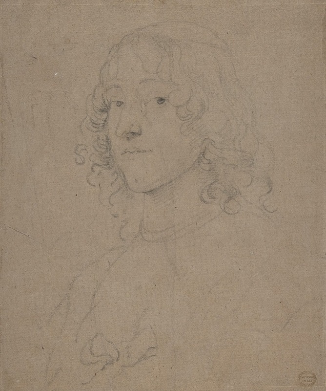Anthony van Dyck - Portrait Study