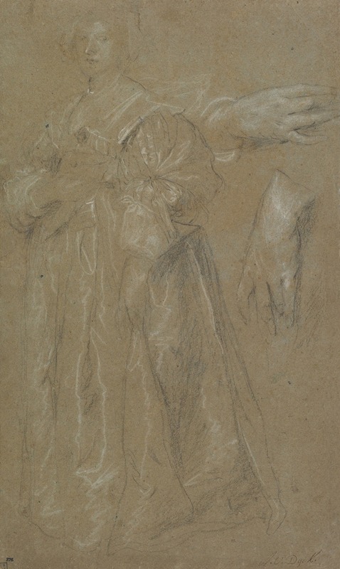 Anthony van Dyck - Study for a Portrait of a Lady