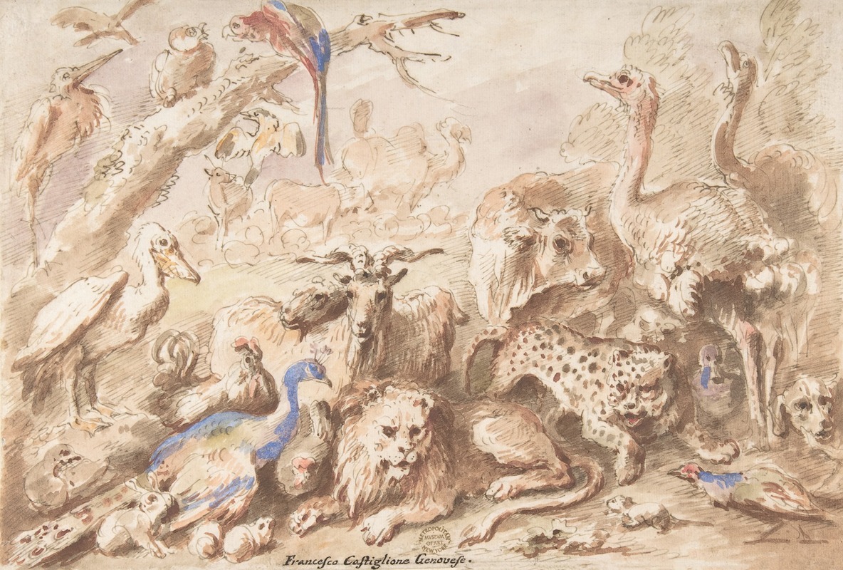 Giovanni Francesco Castiglione - A Congress of Animals