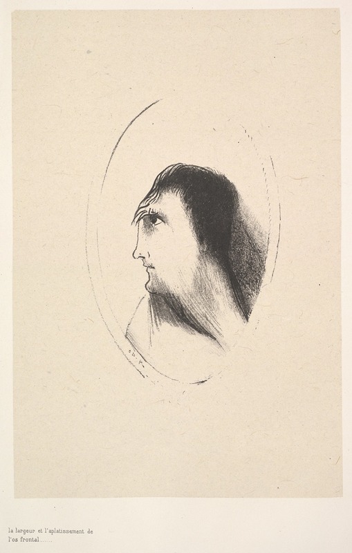 Odilon Redon - The breadth and flatness of the frontal bone