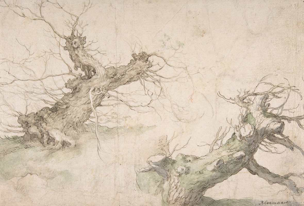 Abraham Bloemaert - Studies of Two Pollard Willows