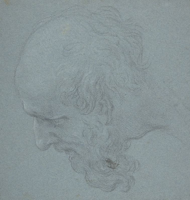 Ciro Ferri - Head of a Bearded Man Looking to Upper Left