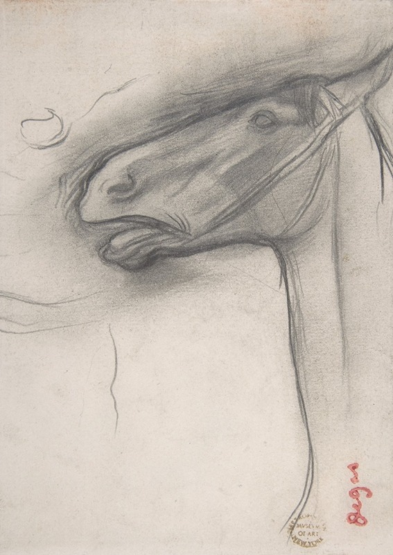 Edgar Degas - Head of a Horse