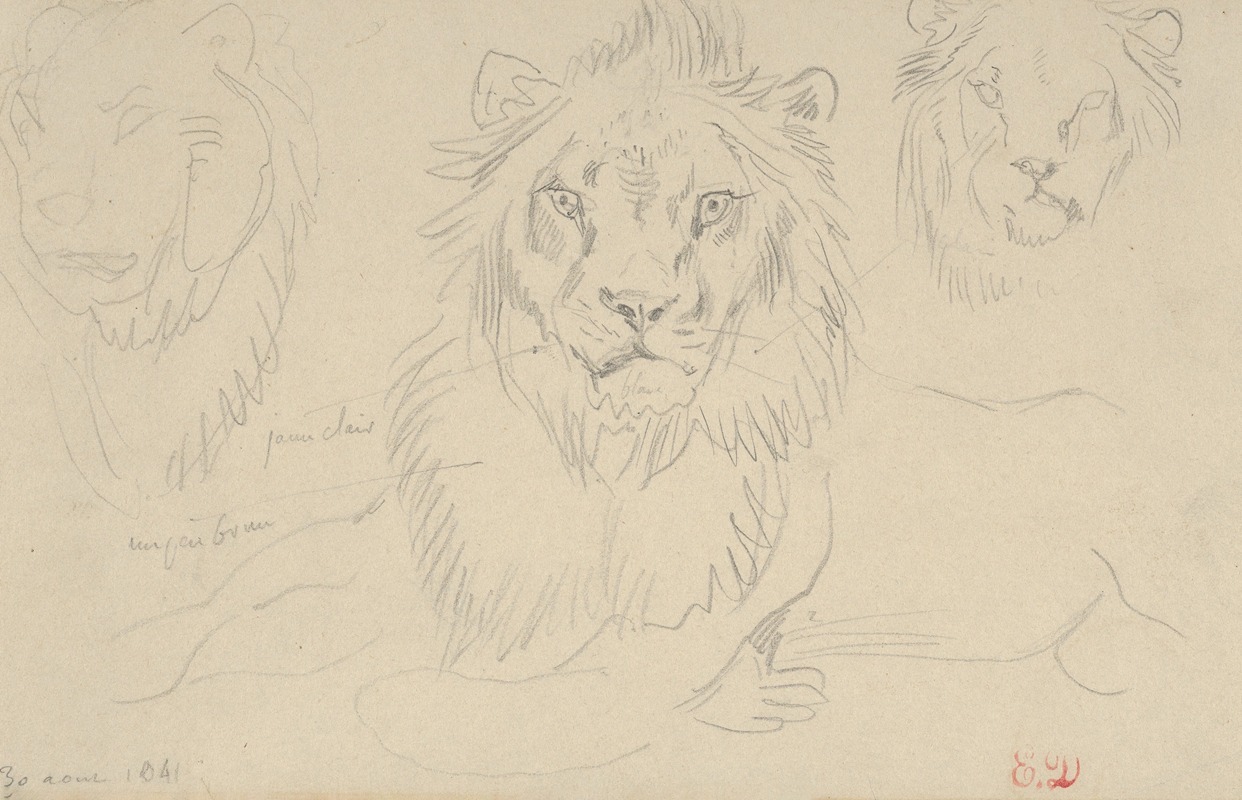 Eugène Delacroix - A Lion, Full Face