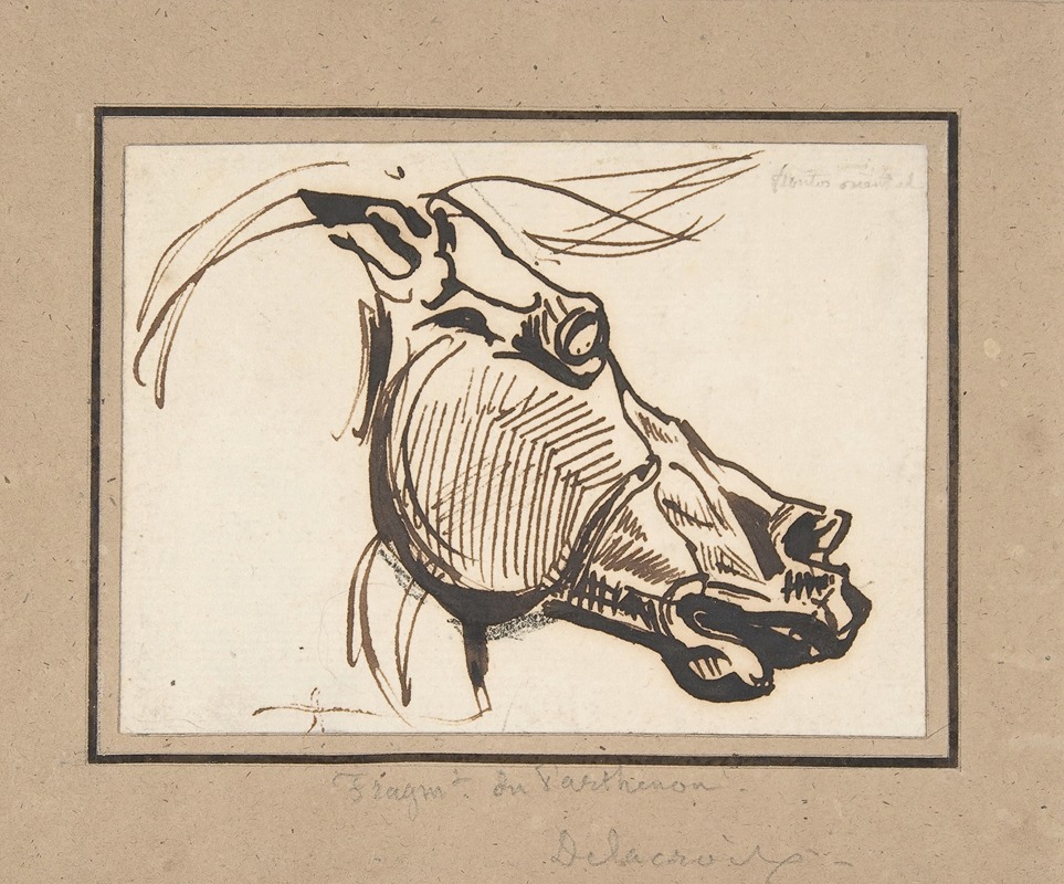 Eugène Delacroix - Head of a Horse, after the Parthenon