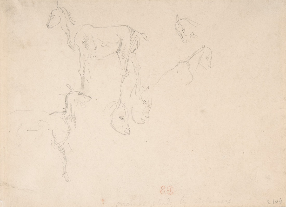 Eugène Delacroix - Studies of a Goat