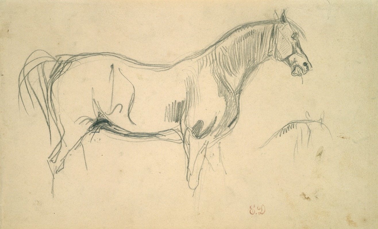 Eugène Delacroix - Studies of a Horse in Profile