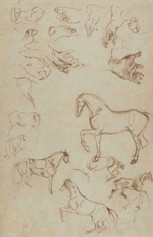 Eugène Delacroix - Studies of Horses, Hands, and Feet