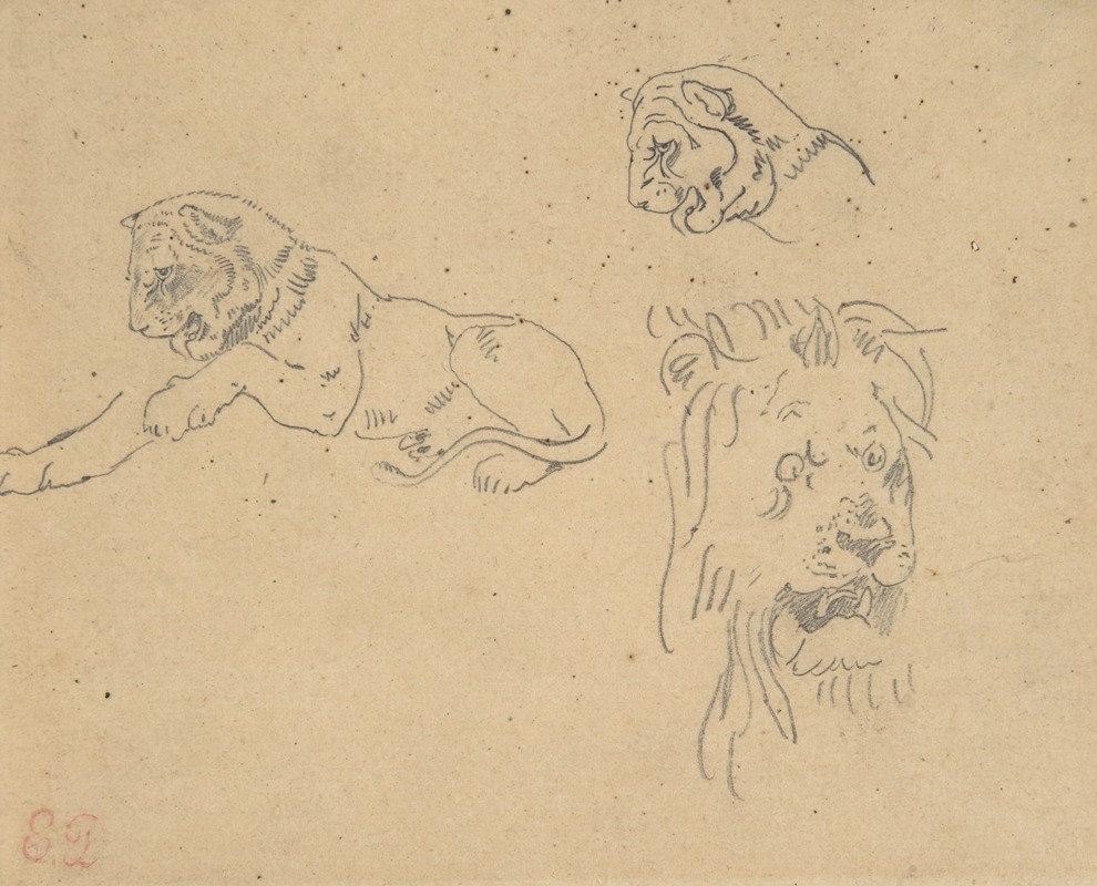 Eugène Delacroix - Three Studies of a Lion
