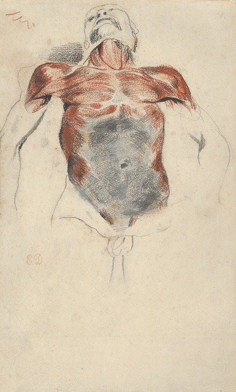 Eugène Delacroix - Torso of a Male Cadaver