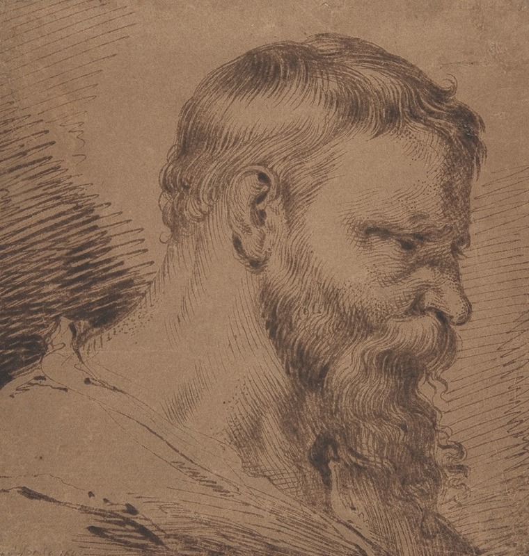 Jacob de Gheyn III - Bearded Head, Looking Down to the Right