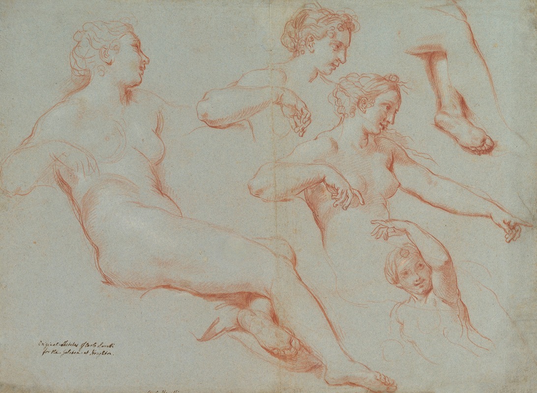 Carlo Maratti - Four Studies of Recumbent Female Nudes (Galatea)