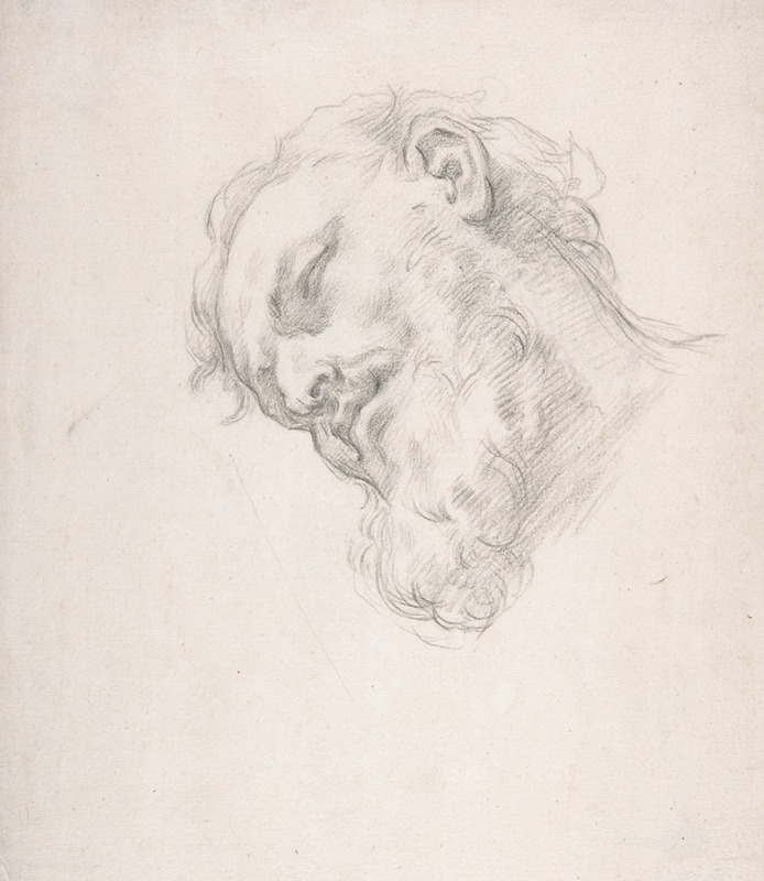 Carlo Maratti - Study for a Head of a Man