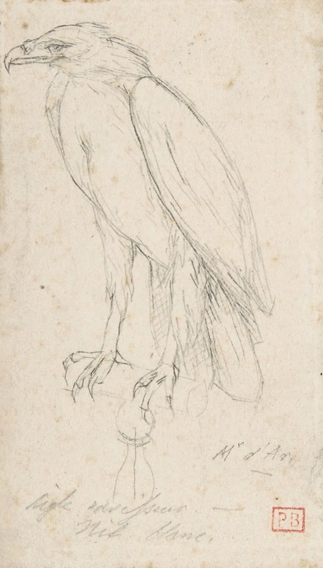 Charles Meryon - A Golden Eagle