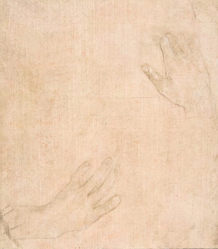 Filippino Lippi - Two Studies of Hands