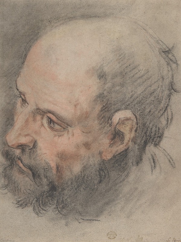 François Lemoyne - Head of a Bearded Man Looking Left