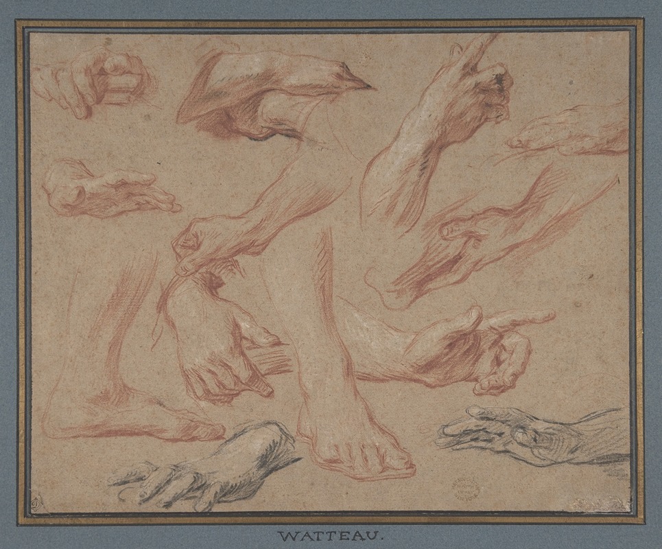 François Lemoyne - Studies of Hands and Feet