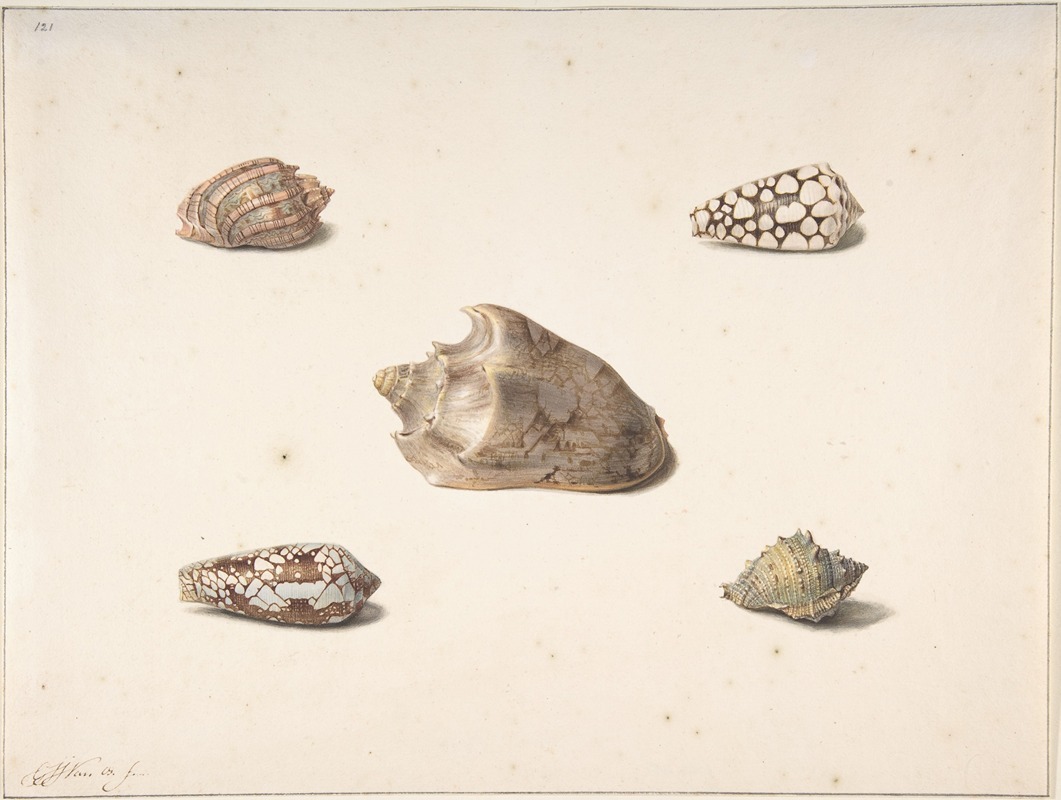 Georgius Jacobus Johannes van Os - Five Shells