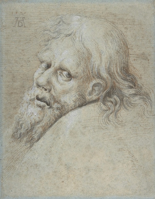Hans Hoffmann - Head of a Bearded Man