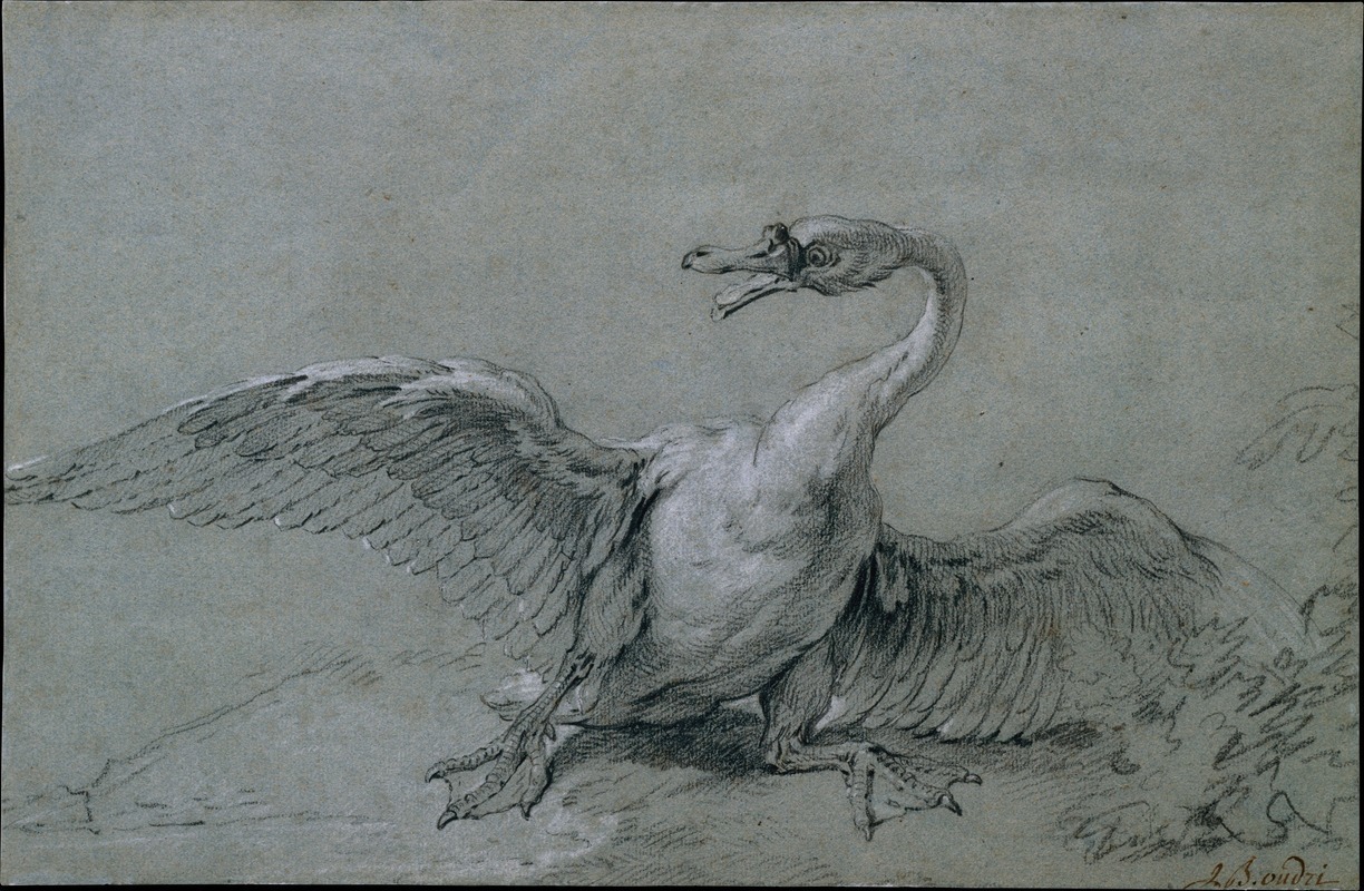 Jean-Baptiste Oudry - Angry Swan