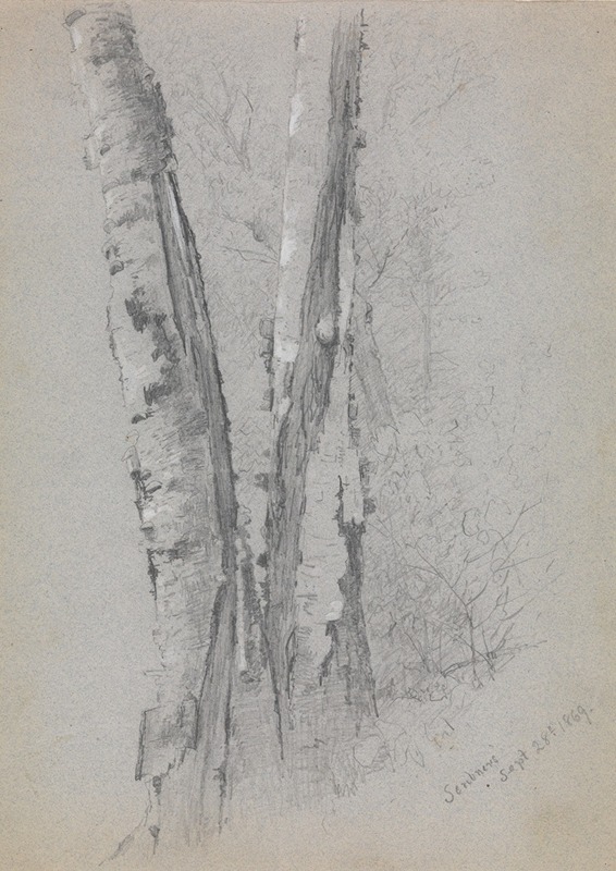 Jervis McEntee - Study of Birch Trunks (Scribners’)
