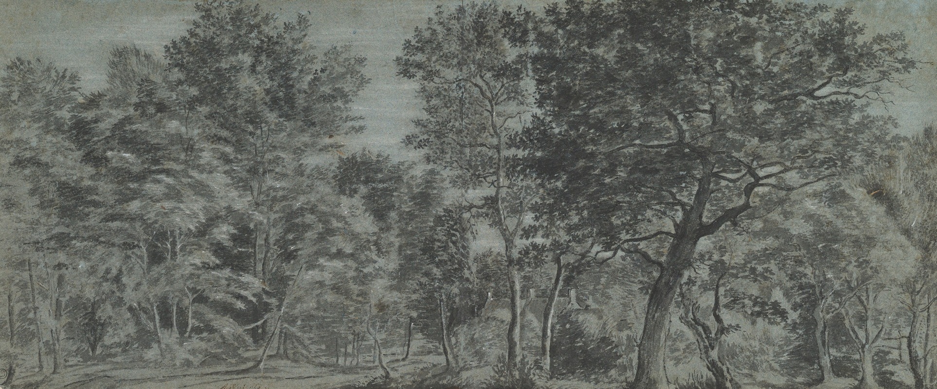 Joris van der Haagen - View of a Forest