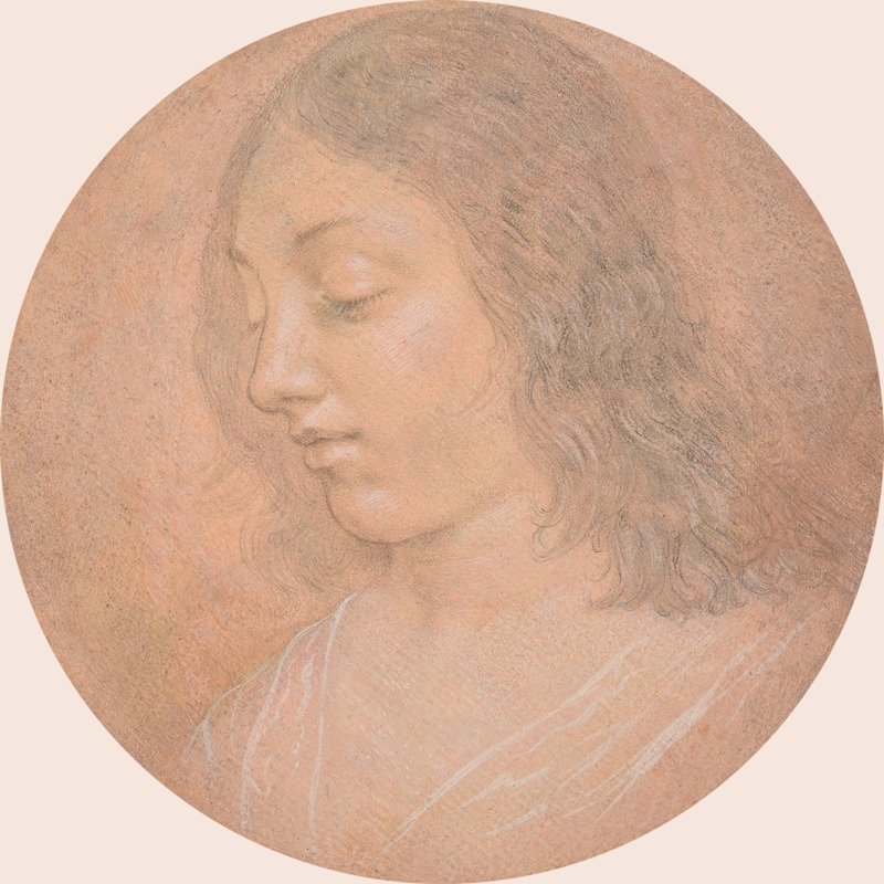 Lorenzo di Credi - Head of a Young Woman