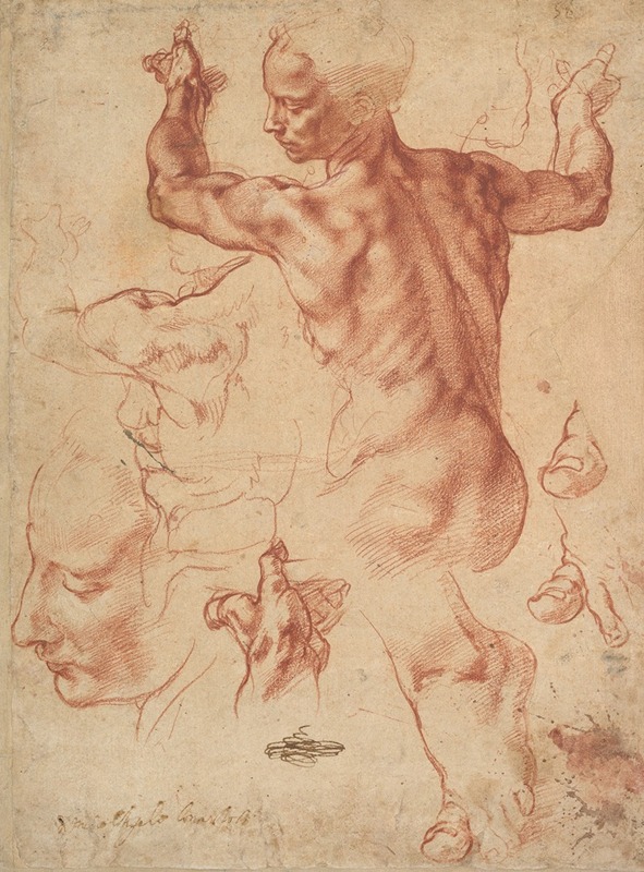 Michelangelo - Studies for the Libyan Sibyl