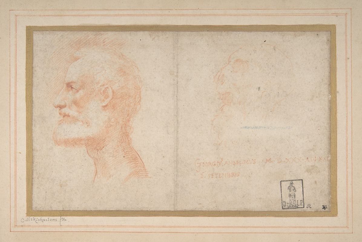 Parmigianino - Head of a Bearded Man in Profile to Left, possibly the Portrait of the Poet Giorgio Anselmi