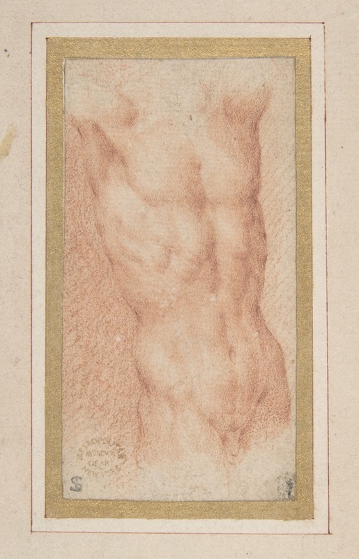 Parmigianino - Male Nude Torso with Raised Arms