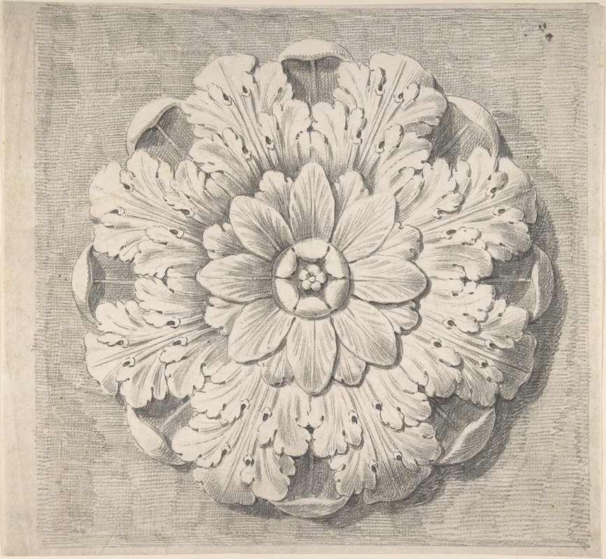 Thomas Hardwick - Study of a Classical Rosette