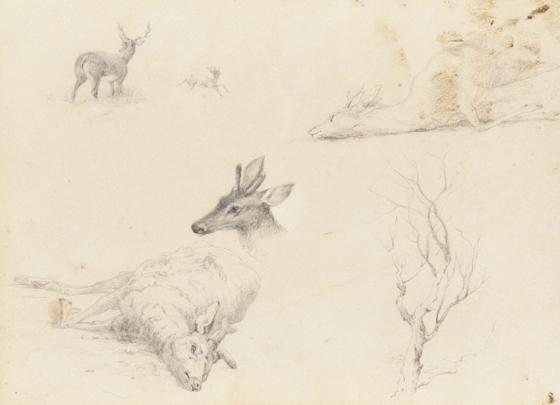 Thomas Hewes Hinckley - Sketchbook of Landscape and Animal Subjects