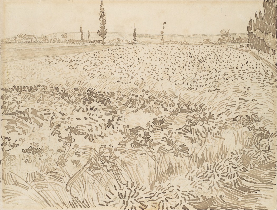 Vincent van Gogh - Wheat Field