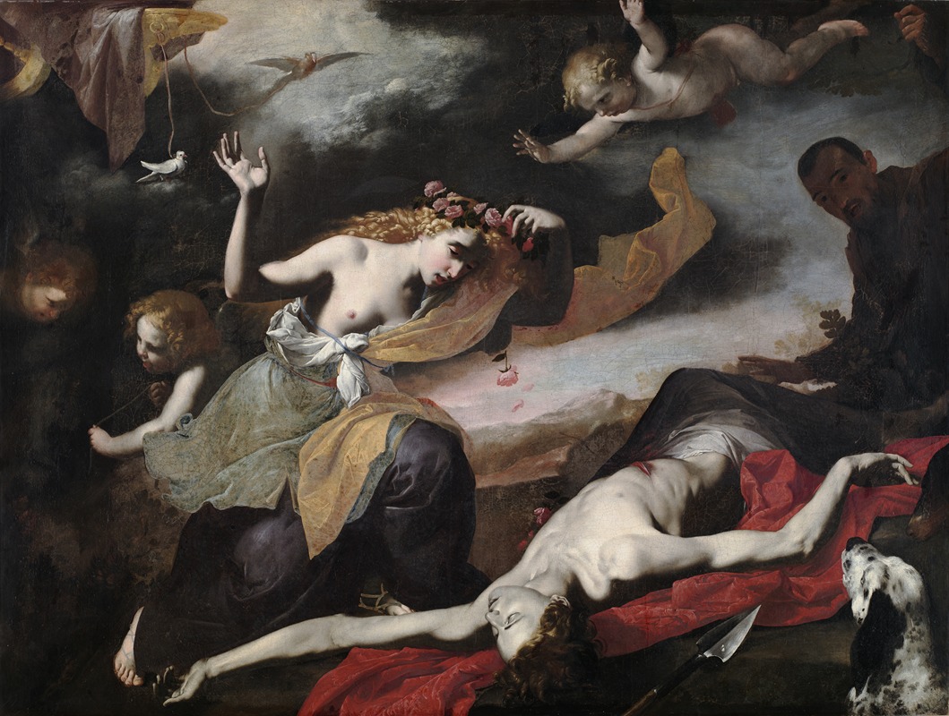 Anonymous - Venus Discovering the Dead Adonis