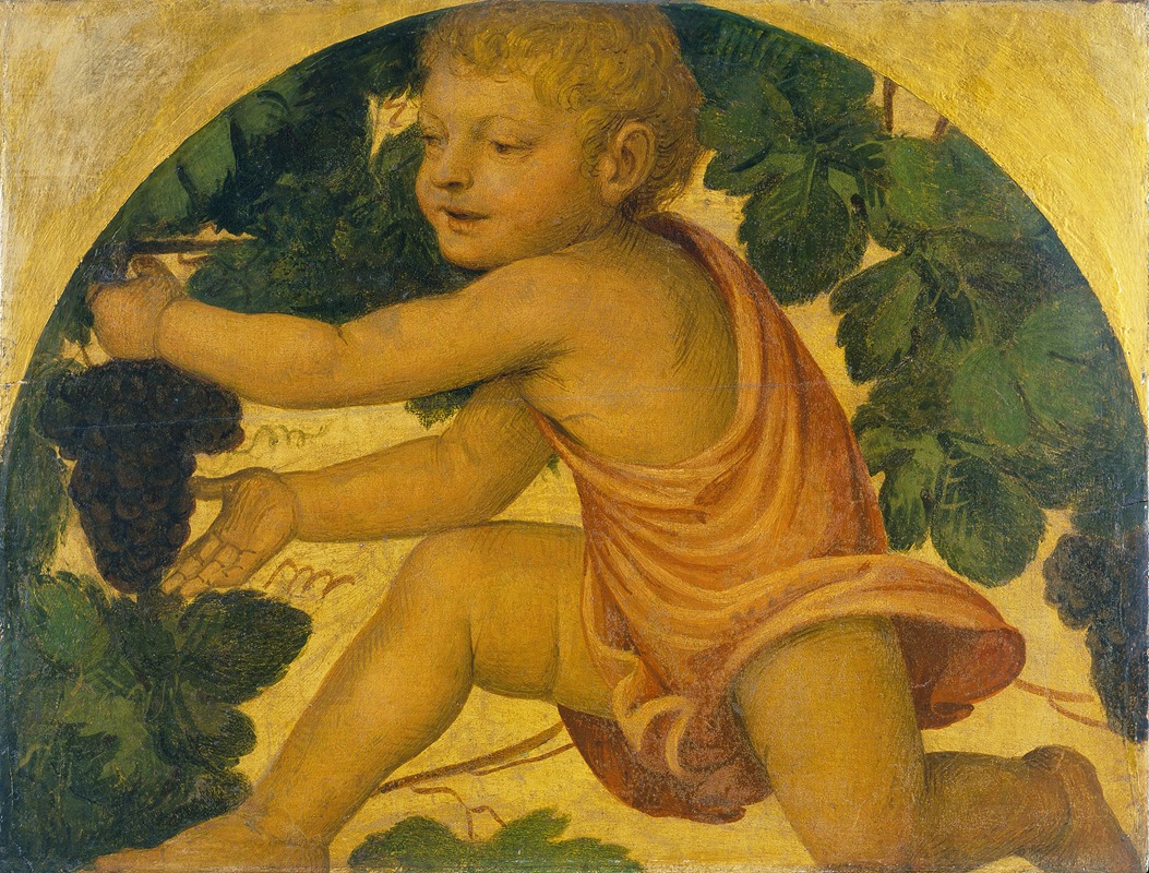 Bernardino Luini - Putto picking Grapes