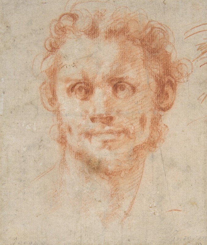 Pontormo (Jacopo Carucci) - Study of a Man’s Head