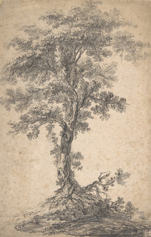 Jean-Baptiste Pillement - Study of a Tree