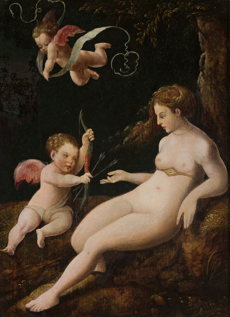 Follower of Lucas van Leyden - Venus with a cupid