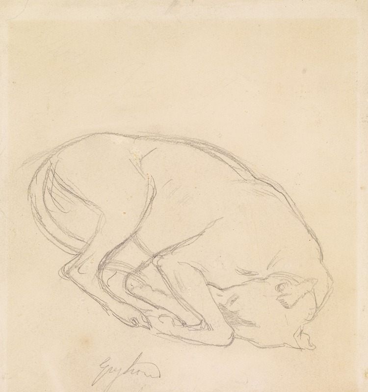Sir John Everett Millais - Studies of a chin, a sleeping dog, annotated ‘greyhound’